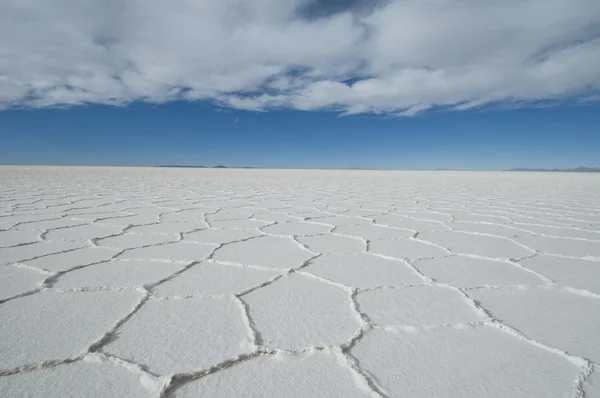 Uyuni sal daireler