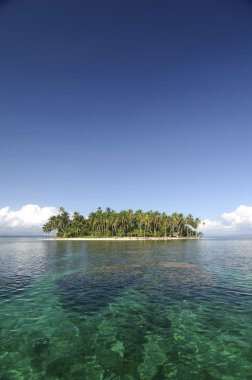 tropikal ada