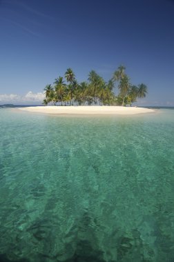 Tropical Island clipart