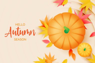 Sonbahar yapraklı kabaklar arka plan vektör illüstrasyonuName