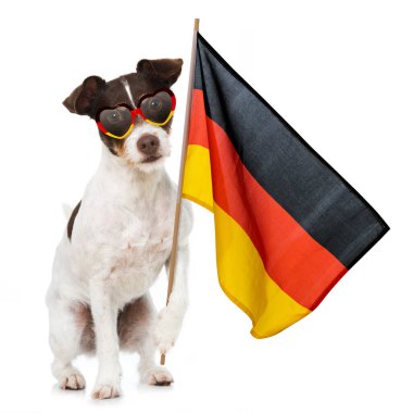 Alman futbol kıyafetli bir köpek.