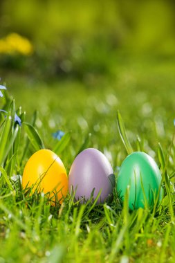 Çayırdaki Paskalya yumurtaları