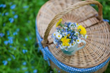 Bahçedeki bahar çiçekleri