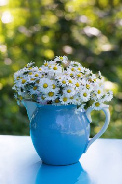 Bahçedeki papatya çiçeği buketi