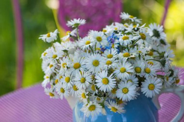 Bahçedeki papatya çiçeği buketi
