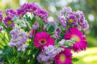 Bahçedeki renkli çiçek buketi