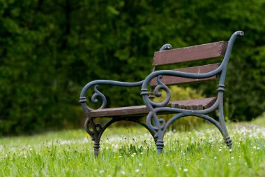 Çayırdaki eski park bankında 