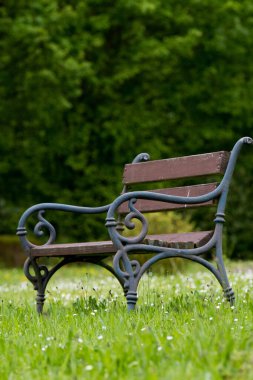 Çayırdaki eski park bankında 