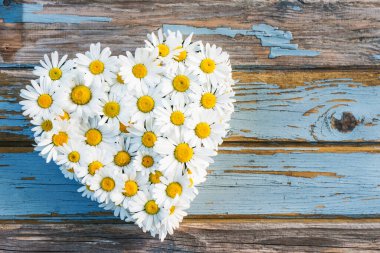 Papatyalı bir çiçeğin kalbinin en üst görüntüsü. 