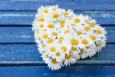 Papatyalı bir çiçeğin kalbinin en üst görüntüsü. 