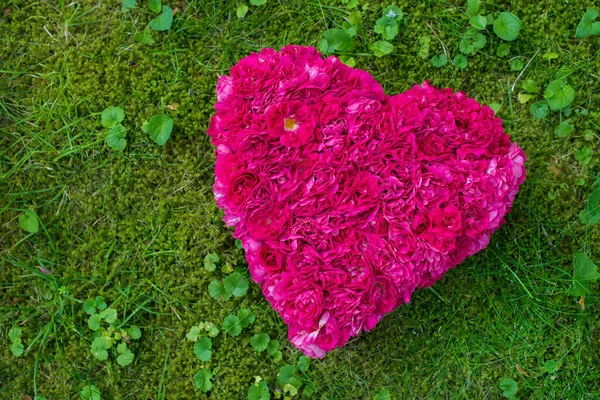 Jantung Mawar Merah Muda — Stok Foto