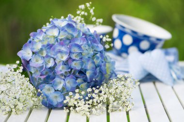 Ortanca çiçekli eski kahve fincanları.