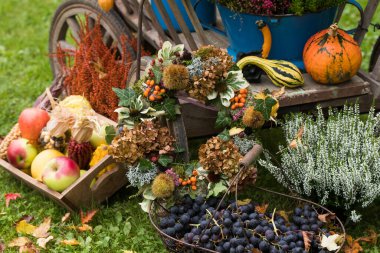 Çiftçilerin bahçesinde renkli bir sonbahar