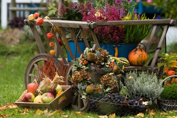 Old Ladder Cart Autumn Decorations — Stock Photo, Image