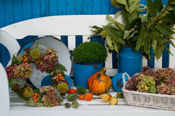 Colorido Otoño Jardín Agricultores — Foto de Stock