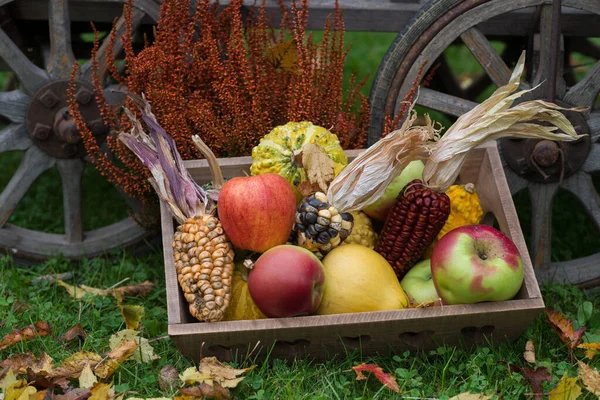 Colorful Autumn Farmers Garden — Stock Photo, Image