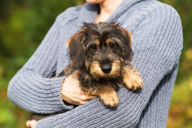 Kadın genç tekeli kollarında tutuyor. 