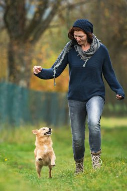 Sonbahar doğasında köpekle yürümek