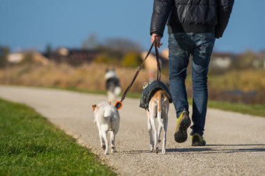 Noel Baba beyaz arka planda izole edilmiş