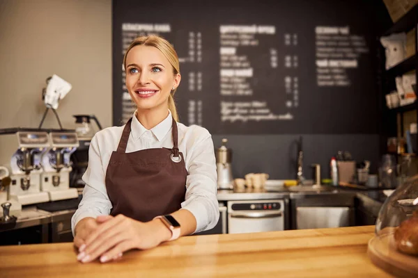 Feliz camarera sonriente posando en la cámara fotográfica en la cafetería — Foto de Stock