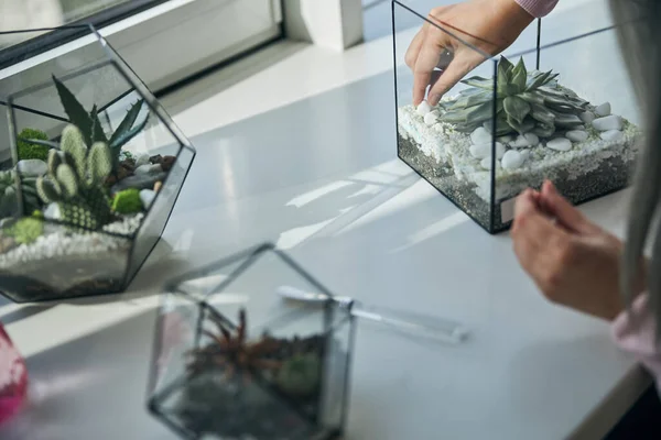 Samičí ruce vkládající kameny do geometrického skleněného terária — Stock fotografie