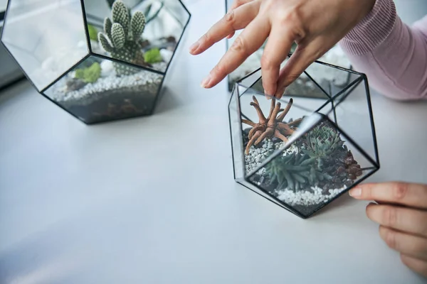 Woman placing decoration into geometric glass terrarium — Stock Photo, Image