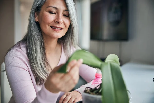 Mooie vrolijke vrouw met groene plant blad — Stockfoto