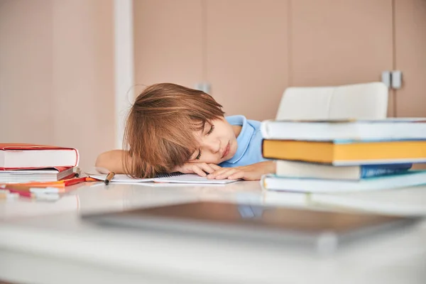 Time for a short nap while studying at home — Stock Image Time for a short nap while studying at home Stock Image