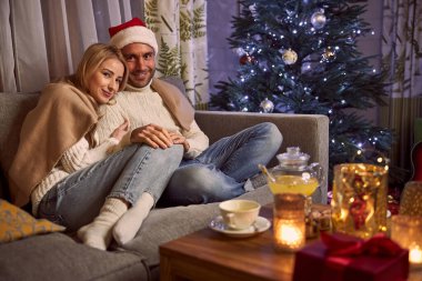 Mutlu gülümseyen genç çift Noel akşamı rahat bir odada dinleniyor.