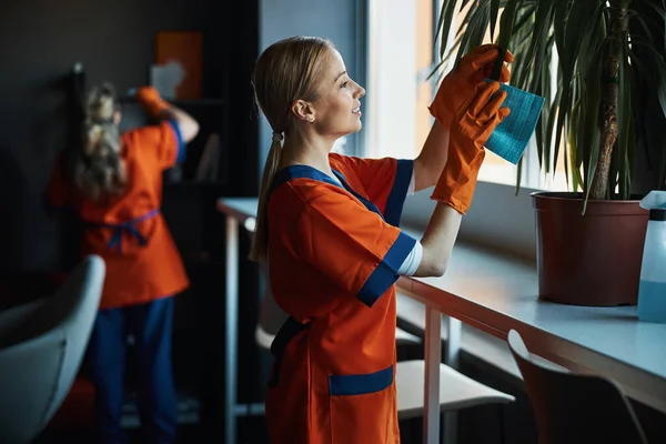 Mujer con guantes de goma limpiando una planta de interior — Foto de Stock