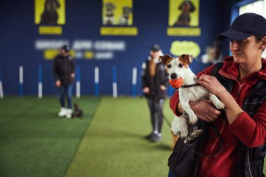 Ciddi bir eğitmen iki koluyla sevimli, pürüzsüz bir köpek yavrusu tutuyor.