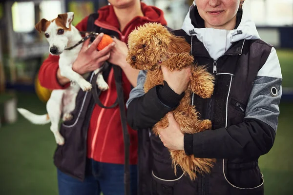 Dos manipuladores de perros posando para la cámara con lindos cachorros —  Fotos de Stock