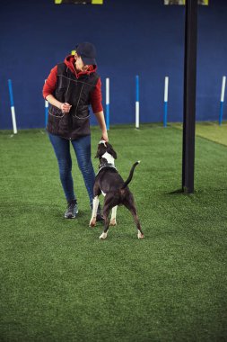 Profesyonel idareci köpeğe yemek ödülü veriyor.