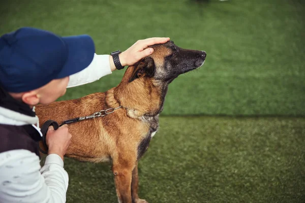 Εκπαιδευτής χαϊδεύοντας ένα σκυλί στέκεται στο τεχνητό γρασίδι — Φωτογραφία Αρχείου