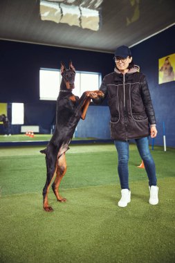 Köpeğin arka ayakları üzerinde durması bir idareci tarafından destekleniyor.