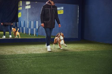 Odaklanmış eğitmen bir köpek yavrusuyla yeni bir komut üzerinde çalışıyor.