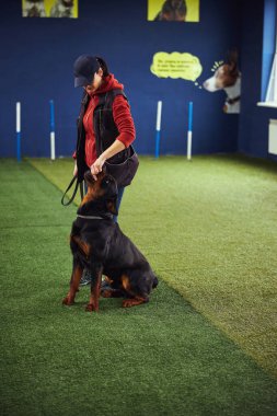 İtaatkar köpek, bir idareciden lezzetli bir yemek ödülü alıyor.
