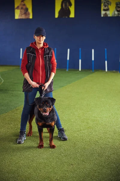 Тренер, який тримає собаку на повідку під час тренування покірності — стокове фото