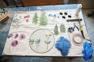 Kurumuş bitkiler ve bitkisel malzemelerle dolu bir yaprak kağıt.