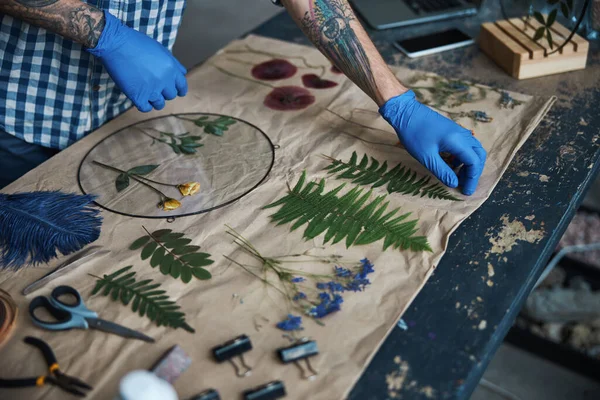 Mannelijke kruidenkundige handen in steriele handschoenen maken van herbarium — Stockfoto