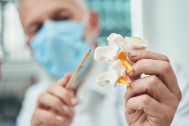 Yüz maskeli doktor omurga anatomisini açıklıyor.