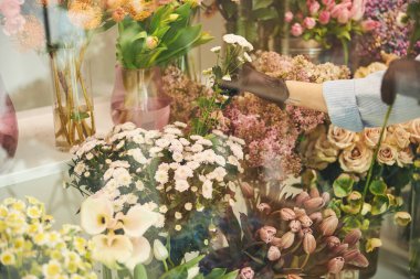 Profesyonel çiçekçi buket için süs bitkileri seçiyor.