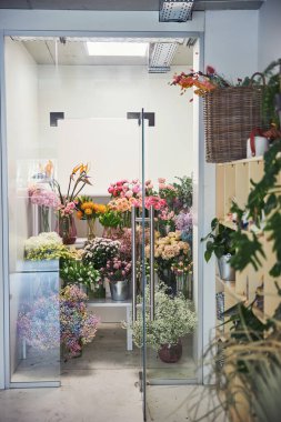 Soğuk bir odada tutulan güzel taze çiçekler.