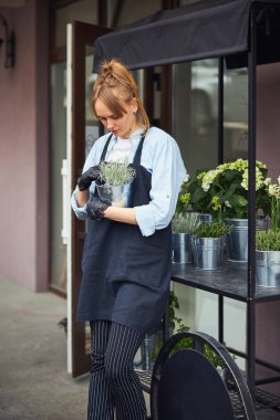 Deneyimli bir çiçekçi elindeki saksı bitkilerine bakıyor.