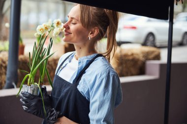 Narsislerin kokusunu koklayan memnun bir çiçekçi.