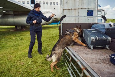 Security officer and drug detection dog checking luggage in airport clipart