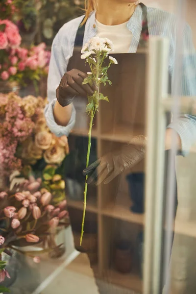 Floristería con una planta ornamental en sus manos de pie en el interior — Foto de Stock