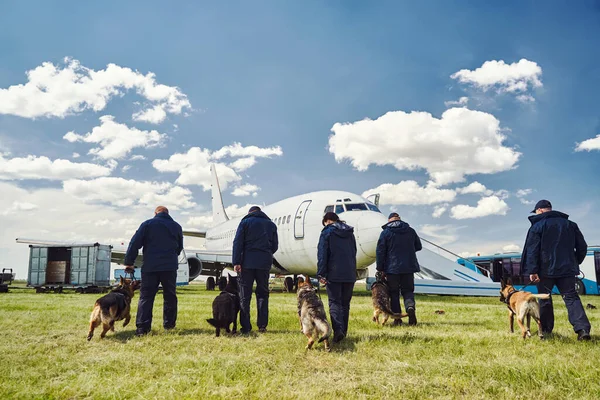 Security officers with detection dogs checking territory of airfield