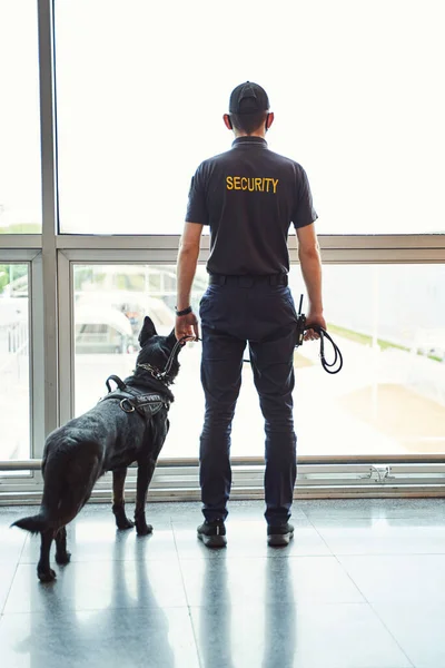 Trabajador de seguridad con perro de detección parado en la terminal del aeropuerto — Foto de Stock