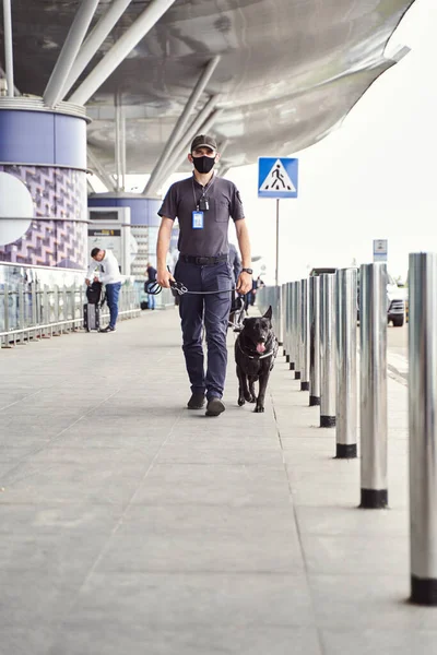 Trabajador de seguridad con perro de detección caminando al aire libre en el aeropuerto — Foto de Stock